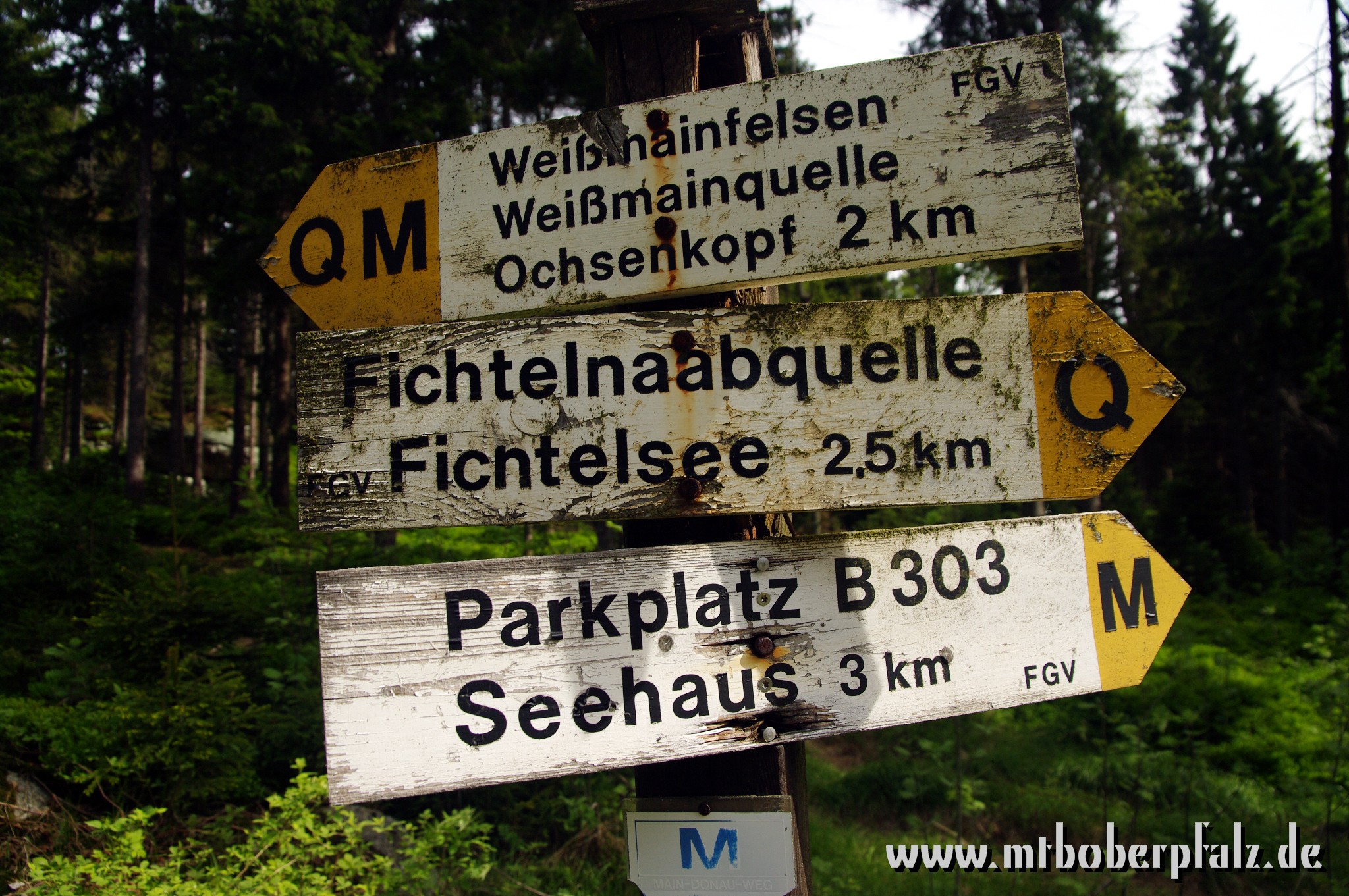 Singletrail schneeberg